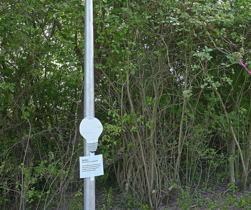 Das ist mal ein anderer „Birnbaum“.