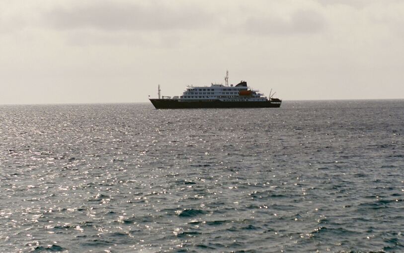 Drei Tote nach Hantavirus-Ausbruch auf Kreuzfahrtschiff
