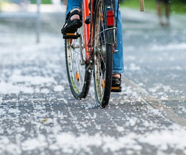 Kein Schnee: Pappelsamen übersäen einen Radweg.