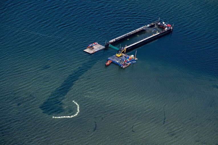 Weitere Entwicklung zum Buckelwal in der Ostsee