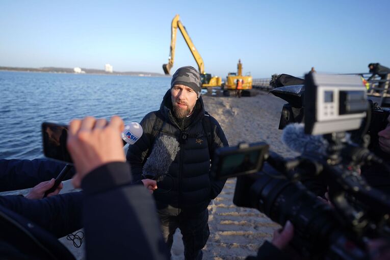 Wal an der Ostseeküste gestrandet