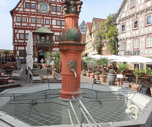 Ein ungewohnter Anblick: Der Marktbrunnen in Besigheim hat kein Wasser. Die Umwälzpumpe ist kaputt.