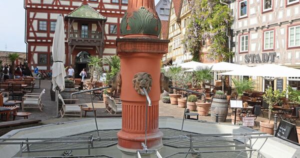 Ein ungewohnter Anblick: Der Marktbrunnen in Besigheim hat kein Wasser. Die Umwälzpumpe ist kaputt.