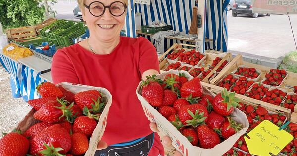 Rot und glänzend: So müssen Erdbeeren aussehen. Hier am Stand von Rolfs frische Früchte in Besigheim.