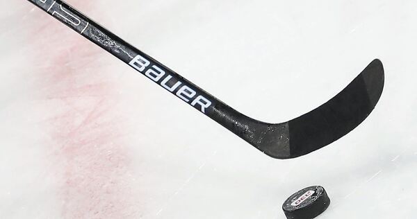 Aktuell ist Wechselzeit im Profieishockey.