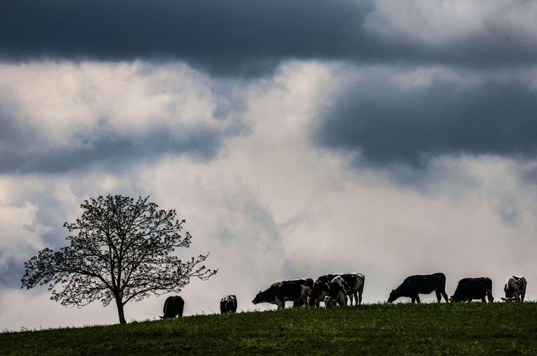 Wetter in der Eifel