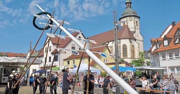 Mit vereinten Kräften wird der Maibaum gestellt.