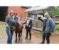 Vier Pferde und Ponys bereichern den Abenteuerspielplatz in Möglingen. Vier Pferde und Ponys bereichern den Abenteuerspielplatz in Möglingen.