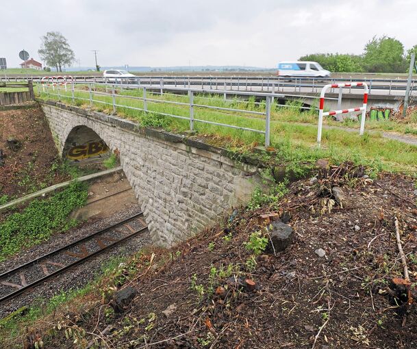 Sträucher rund um die als marode geltende Ziegelbrücke direkt neben der A81 sind bereits gerodet worden.