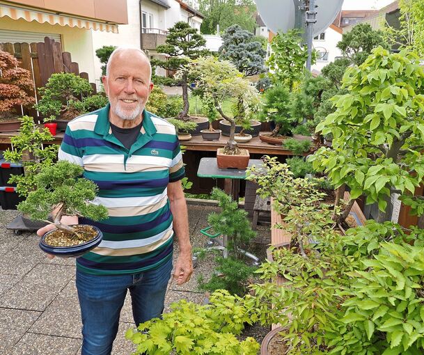 Berend Jan Wentink inmitten seiner Miniaturbäume. Der 79-Jährige ist ein echter Bonsai-Experte.