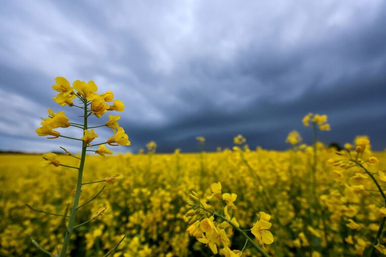 Wetter