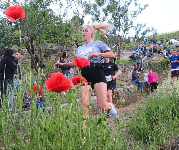 Der Stäffele-Lauf geht durch idyllische Landschaften.