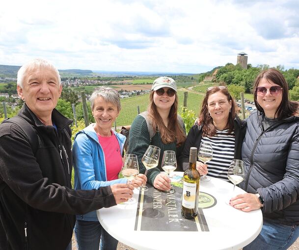 Wein, Wandern, Burgen: Am Sonntag konnte man das Bottwartal von seiner schönsten Seite entdecken.