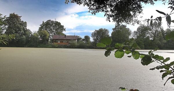 Ein Zeuge findet am Neckartalsee eine Fischfalle. Ein Zeuge findet am Neckartalsee eine Fischfalle.