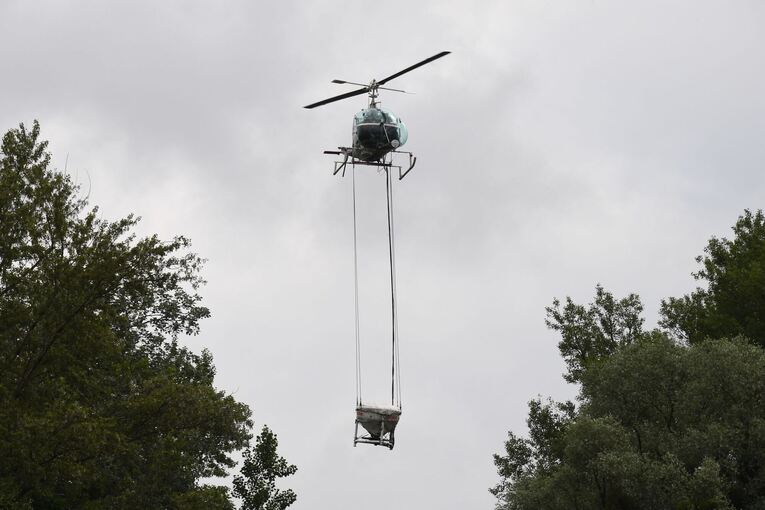 Stechmückenbekämpfung Stechmückenbekämpfung