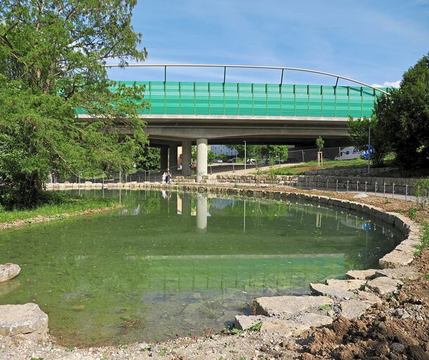 Ein Stück Natur mitten in der Stadt: der Gumpenbachteich unter der B27 in Kornwestheim.