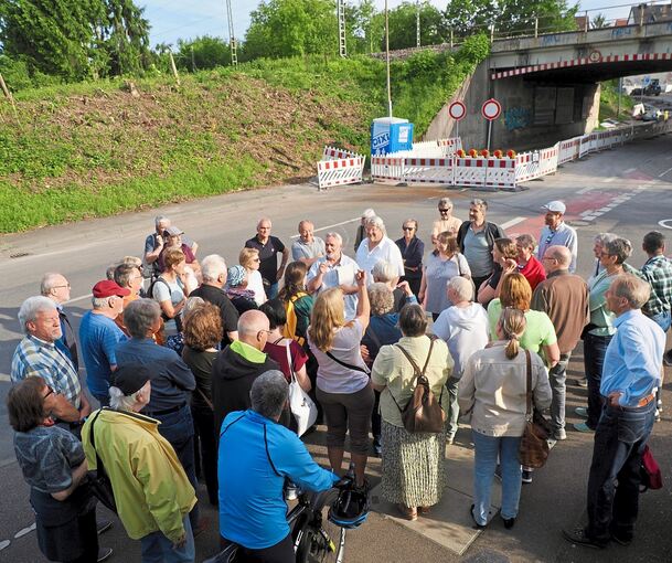 Beim Eglosheimer Stadtteilrundgang erfahren die rund 50 Teilnehmer am eigenen Leib: Gemütlich schlendern sollte man über die Ampel an der B27 besser nicht.