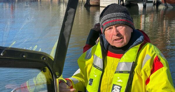Weitere Entwicklung zum Buckelwal in der Ostsee