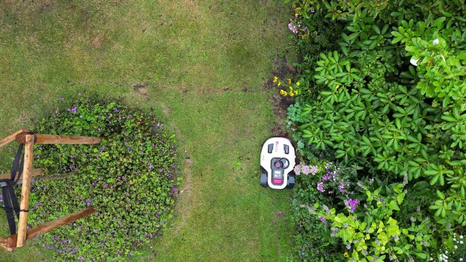 Igelschutz: Nachtfahrverbot für Mähroboter Igelschutz: Nachtfahrverbot für Mähroboter