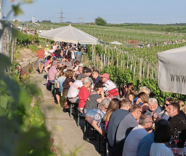 Bei gutem Wetter genießen viele Besucher das Mundelsheimer Käsbergfest.