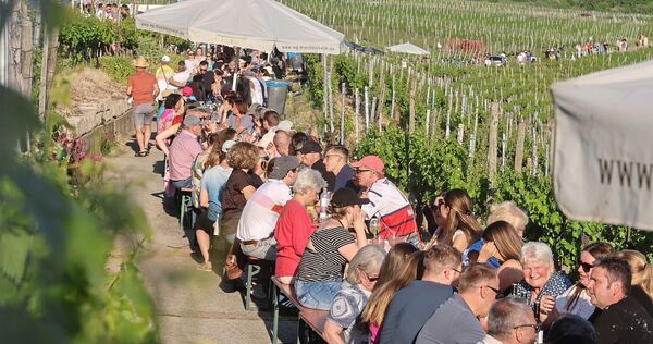 Bei gutem Wetter genießen viele Besucher das Mundelsheimer Käsbergfest.