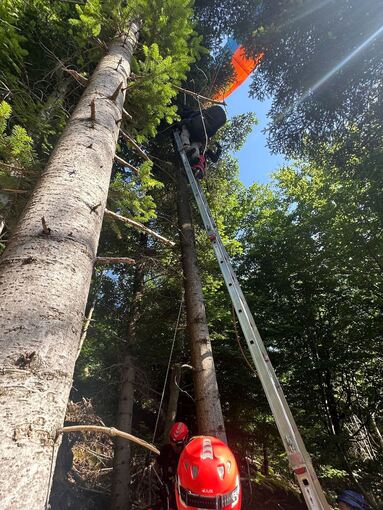Feuerwehr rettet Gleitschirmflieger aus Baum