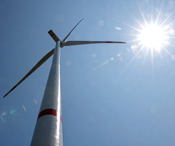 Im Erligheimer Gemeindewald könnten bald Windräder stehen.