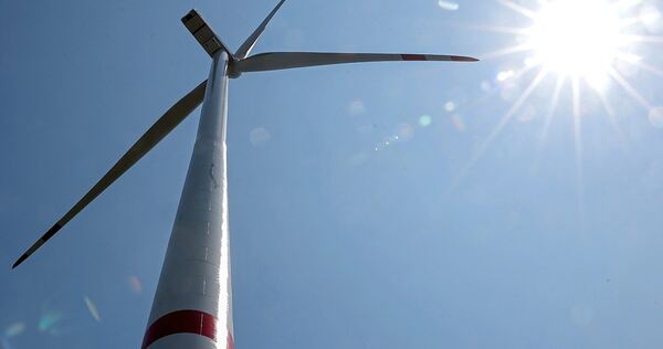 Im Erligheimer Gemeindewald könnten bald Windräder stehen.