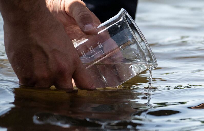 "Maifischbesatz" zur Wiederansiedlung des Maifischs im Rhein