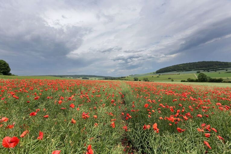 Wetter in Baden-Württemberg