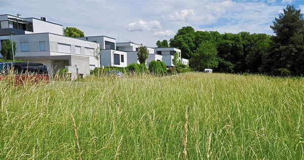 Diese Grünfläche bringt der Stadt Ludwigsburg Millionen ein. In der Caerphillystraße in Grünbühl-Sonnenberg werden Baugrundstücke nach Höchstgebot verkauft.