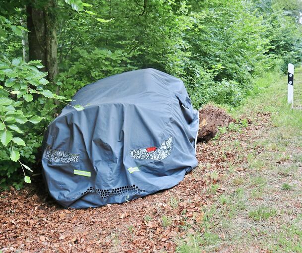 Der Wagen landet im Graben.
