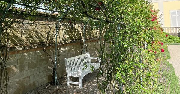 Im Friedrichsgarten kann man es sich unter Rosen gemütlich machen.