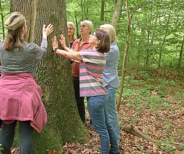 Gemeinsam den Baum umarmen - ein Element des Waldbadens.