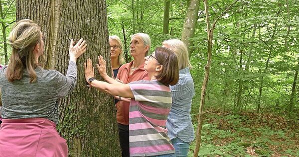 Gemeinsam den Baum umarmen - ein Element des Waldbadens.