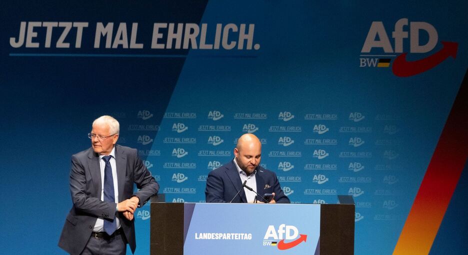 AfD-Landesparteitag Baden-Württemberg
