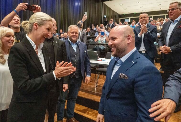AfD-Landesparteitag Baden-Württemberg AfD-Landesparteitag Baden-Württemberg