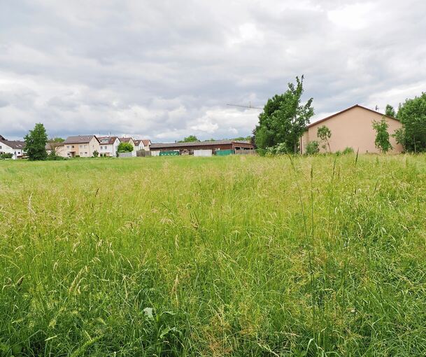 Heute noch Wiese: Direkt an der Grenze zu Besigheim will die Gemeinde Gemmrigheim ein Gewerbegebiet bauen.