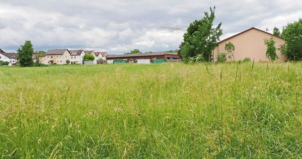 Heute noch Wiese: Direkt an der Grenze zu Besigheim will die Gemeinde Gemmrigheim ein Gewerbegebiet bauen.
