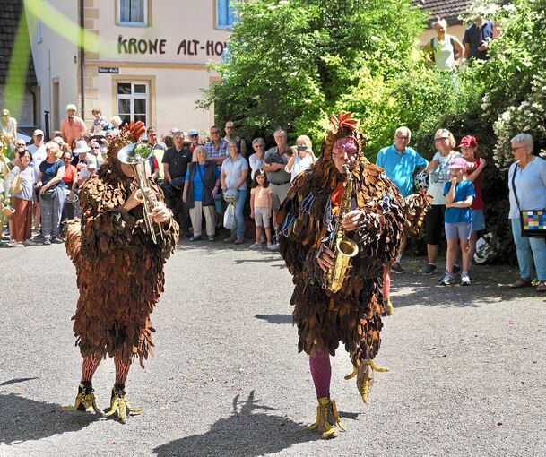 Die Straßenkünstlergruppe PasParTouT in ihren prachtvoll gefiederten Kostümen.