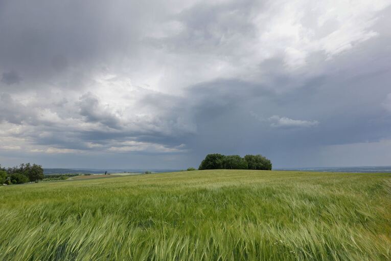 Wetter in Baden-Württemberg