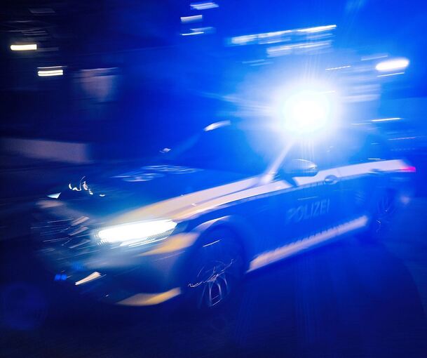 Die Polizei sucht die Einbrecher. Die Polizei sucht die Einbrecher.