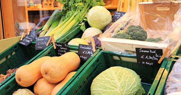 Frische, die man schmeckt: Direkt vom Feld geerntet landet das Gemüse im Hofladen.