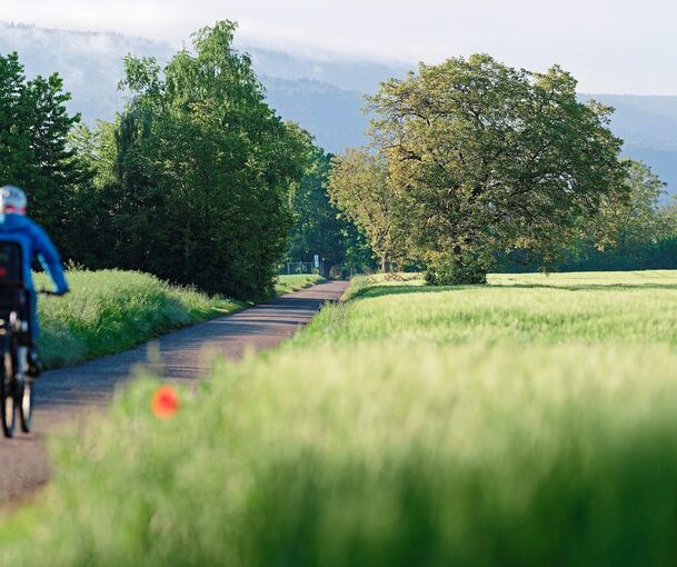 Ein Radfahrer ist von einem Fußgänger geschlagen worden.