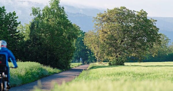 Ein Radfahrer ist von einem Fußgänger geschlagen worden.