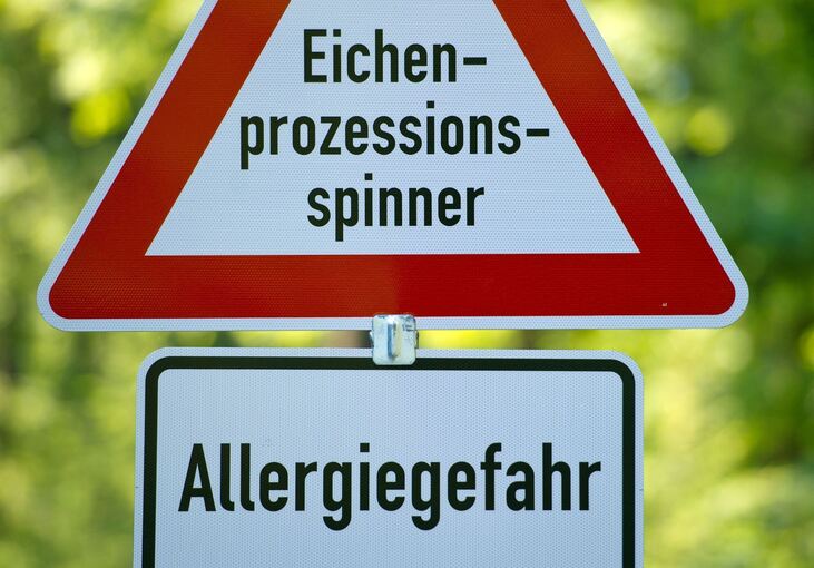 Raupen mit giftigen Haaren Raupen mit giftigen Haaren