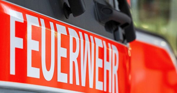 Millionenschaden-Tiere-sterben-bei-Gro-brand-in-Oberriexingen