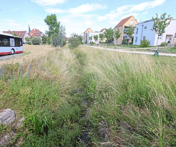 Derzeit wirkt der Mühlbach in Bönnigheim nicht wie eine große Gefahr. Doch das kann sich schnell ändern.