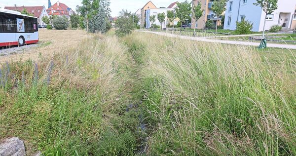 Derzeit wirkt der Mühlbach in Bönnigheim nicht wie eine große Gefahr. Doch das kann sich schnell ändern.