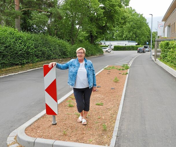 Dass immer mehr öffentliche Parkplätze wegfallen, ärgert die Anwohner in Grünbühl, berichtet Regina Orzechowski. In der Neißestraße ersetzt ein großes Baumbeet öffentliche Stellplätze. Das finden längst nicht alle gut.